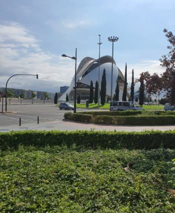 arraigo social final